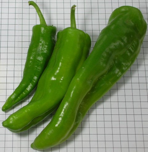 Sweet long Type pepper 730-155 p2